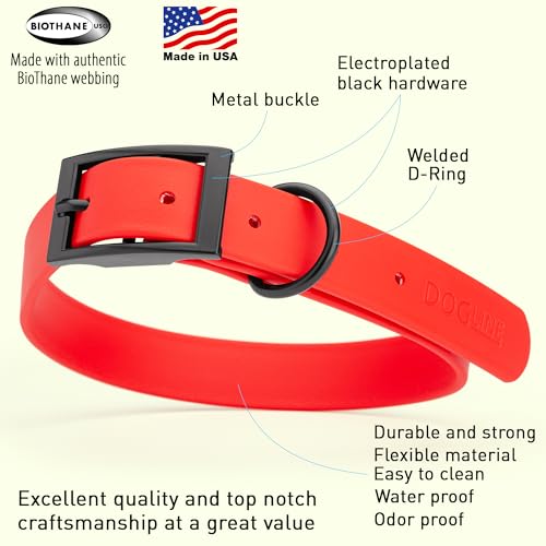 Image of Dogline Biothane Waterproof Dog Collar Strong Coated Nylon Webbing with Black Hardware Odor- Proof for Easy Care Easy to Clean High Performance Fits Small Medium or Large Dogs, Cherry Red
