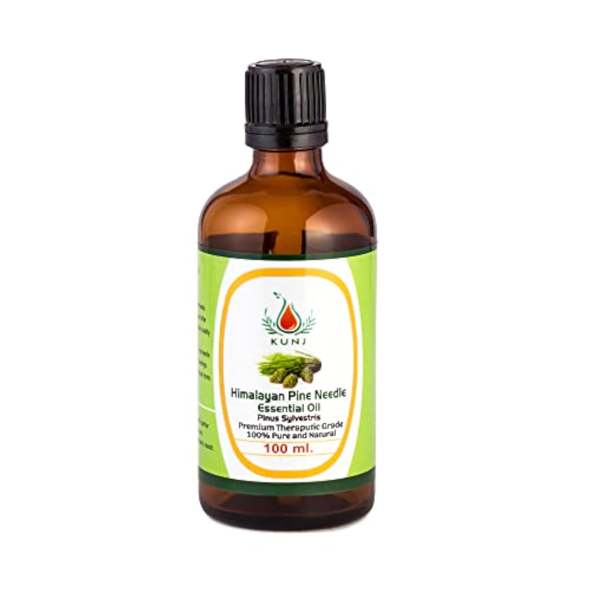 KUNJ Himalayan Pine Needle Essential Oil, 100% Pure & Natural