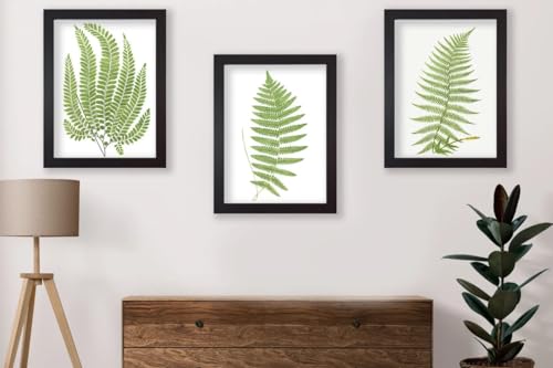 Image of Set of 3 Botanical Art Prints Fern Leaf Wall Art Poster Print Framed Option - 3x A4 Poster - Triptych rolled in tubes BensArt Triptych set 3 Three Stretched Mounted Multi Panel Wall Art Classic Pictu