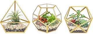Mkono 5'' Mini Glass Geometric Terrarium Container Set of 3 Modern Tabletop Planter Shelves Decor Display Box Centerpiece Gift for Succulent Air Plant Miniature Fairy Garden, Gold (Plant Not Included)