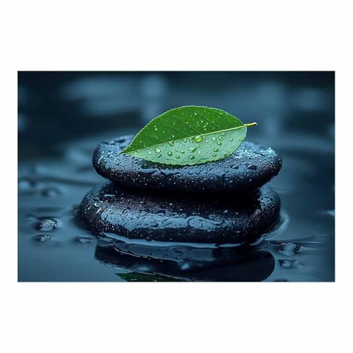 Goutte d'eau feuille & pierre noire tableau murale horizontal vert
