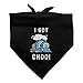 I Got Choo Train You Funny Humor Dog Pet Bandana