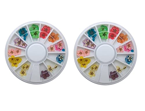 Goliton 2X 36PCS Nail Art Accessories Dried Flowers Colorful Life Nail Flower Stickers for DIY Crafts Nails Decorations Nail Salon Nail Decals Nail Design for Nail Treatment Resin Jewelry