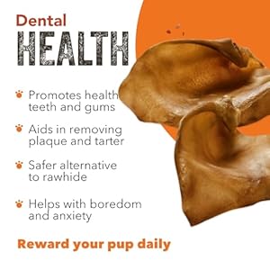   Gaines-Pet-Pig-Ear-Dog-Treats-100-Natural-High-Protein-Low-Fat-Dental-Health-Easy-to-Digest-and-Chemical-Free-All-Dog-Sizes-and-Breeds-40-Count