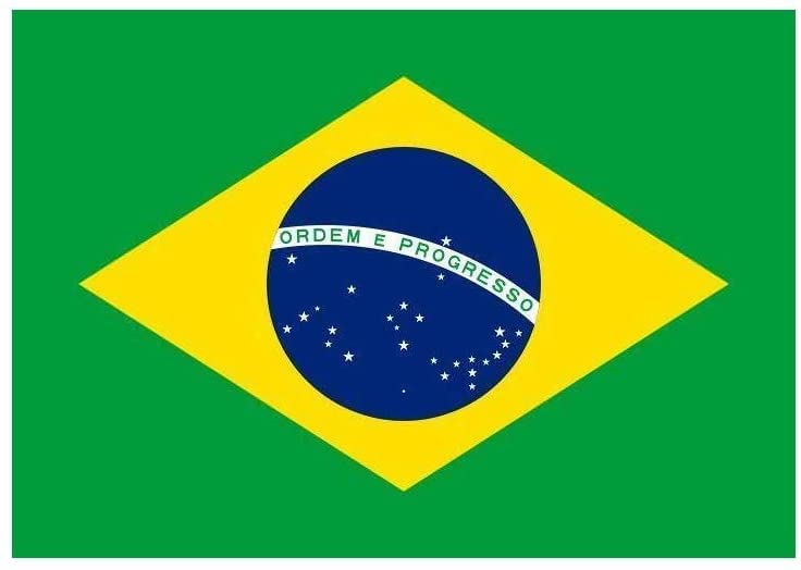 Adesivo BANDIERA BRASILIANA brasile 30x20 cm