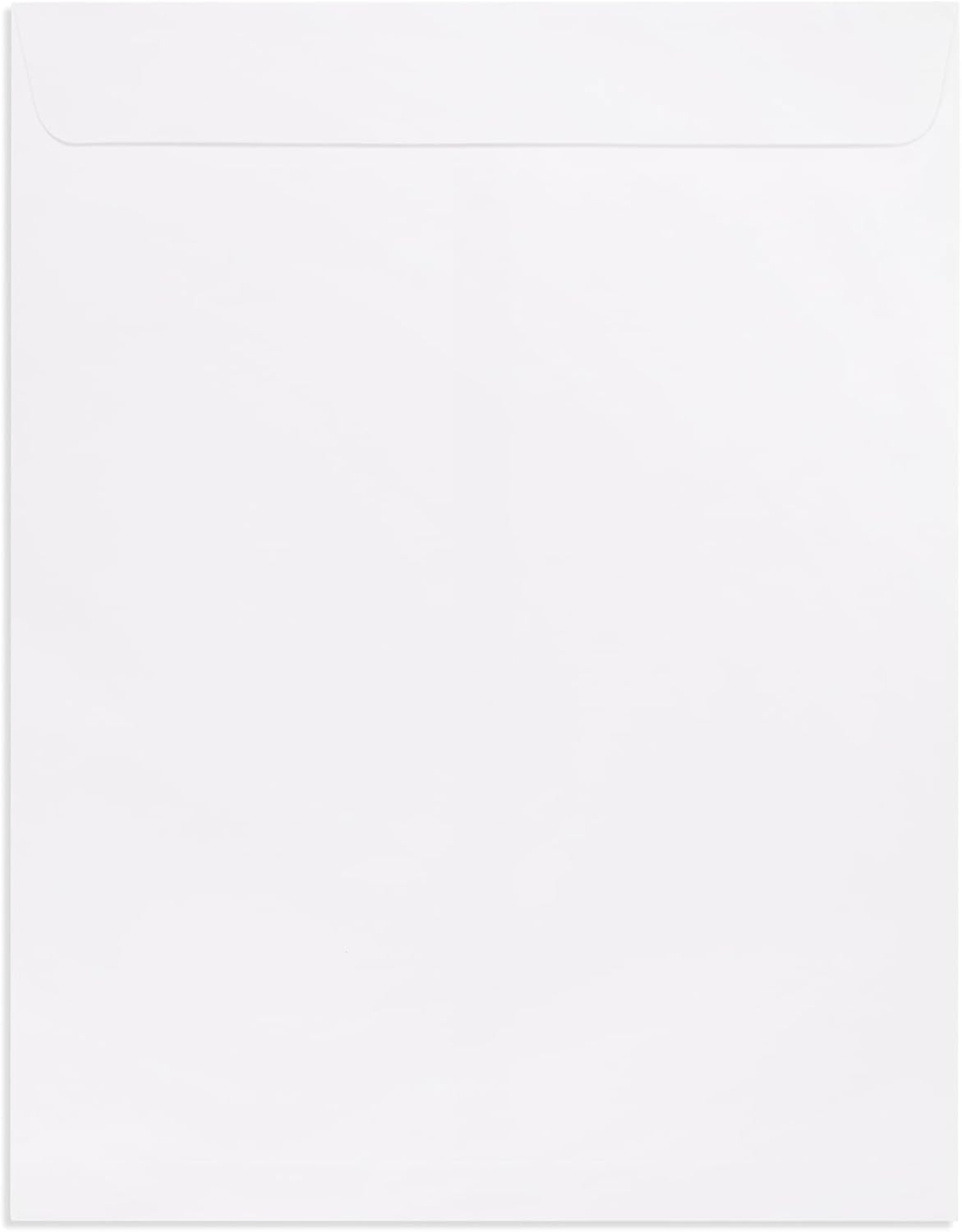 100 Blue Summit Supplies Catalog Mailing Envelopes, Gummed Seal, 10x13 Inch, Bright White, 100-Pack