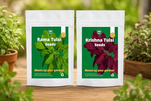 Image of Rama & Krishna Tulsi seeds Combo | Holy basil | Black Shyama | (Rama | Krishna Tulsi Combo)