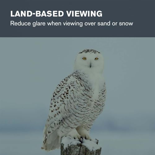 image for Celestron 1.25 inch Moon Filter - Suitable for Lunar Observation, Extr