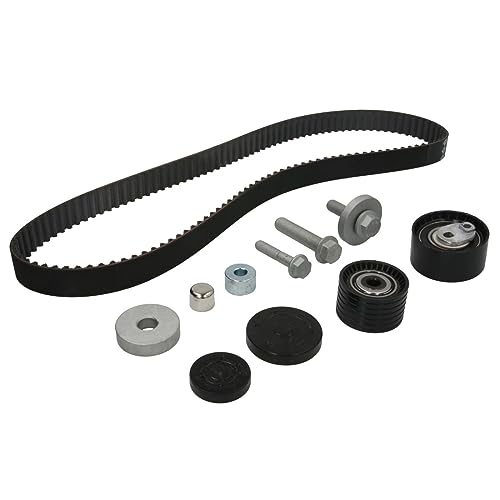 Kit Distribuzione Ina - 530063810