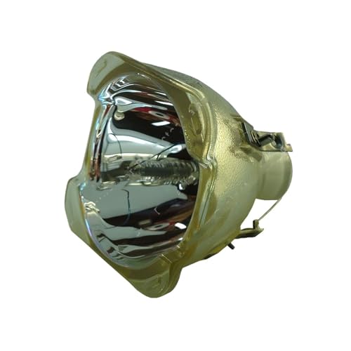 Module lampe de projecteur 5j J3j05 001 de haute précision pour BenQ TX762ST