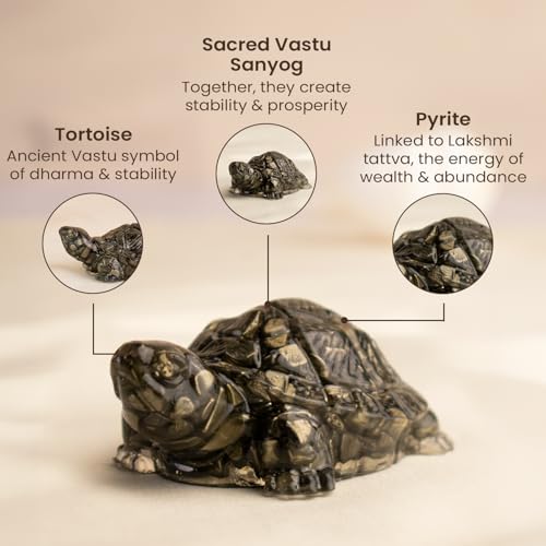 Image of Astrotalk Pyrite Tortoise (Kachhua) 5.5x1.5 Inch | Pyrite Resin Turtle for Good Luck & Wealth | Crystal Tortoise for Good Luck for Home | Vastu Items for Housewarming Gift | Home Decor for Living Room