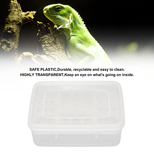 Reptilien-Zuchtbox mit 16 Gittern, Reptilien-Inkubator, Professionelle Kunststoff-Reptilien-Zuchtbox, Schlupf-Inkubator für Amphibien, Schlangen, Eidechsen, Schildkröten, Schildkröten, Geckos