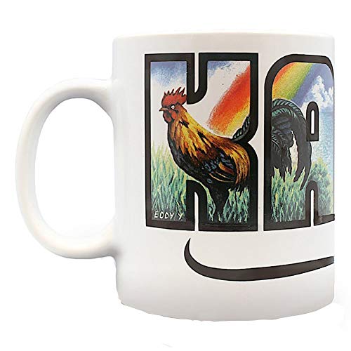 14 oz Boxed Hawaiian Eddy Y Coffee Mug Kauai - Hawaii