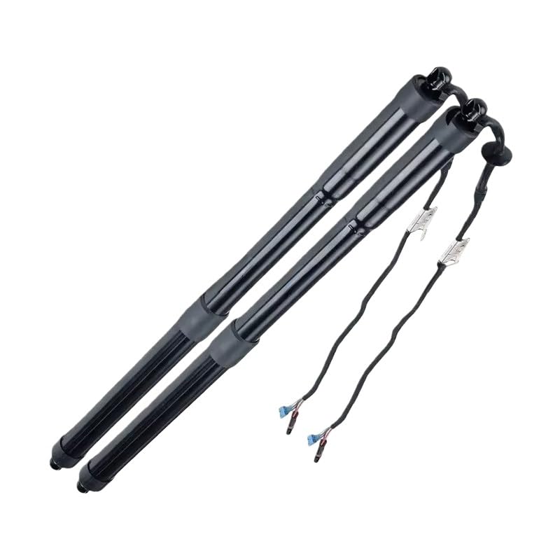 Support hayon électrique 971827851 à levage fluide pour coffre auto