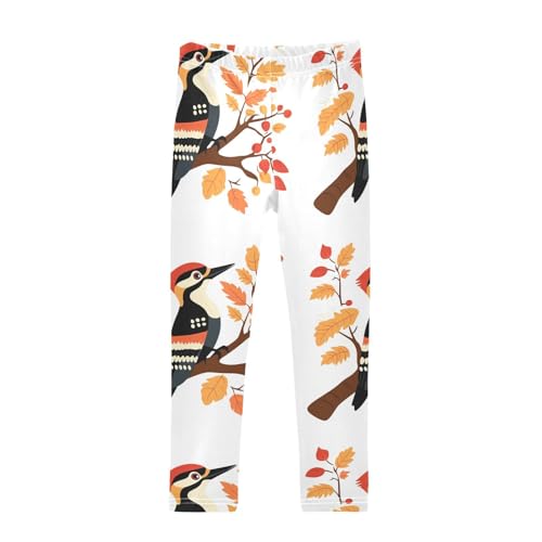 Girls Leggings Woodpecker Bird Toddler Girls Clothes Leggings for Girls Toddler Girls Leggings 3-4T