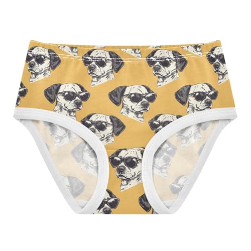 ZZKKO Cool Dog with Sunglasses Girls Underwear Toddler Panties for Girls Comfort Brief Size 2T-8Y