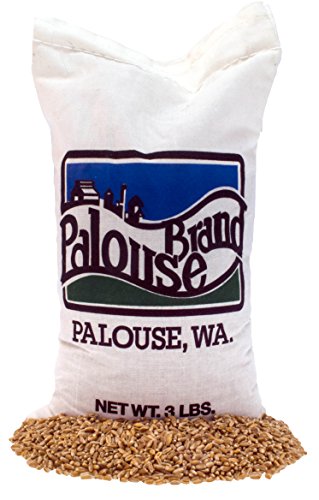 Hard Red Winter Wheat Berries | Non-GMO Project Verified | 3 LBS |