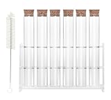 HUAOU 6pcs 60ml Glass Test Tube with Cork Stopper, 25x180mm Storage Tube with Cap, 6 Holes Acrylic Rack, Plant Propagation Vase, Tube Set for Scientific Experiments Lab Candy Liquid Party Decor