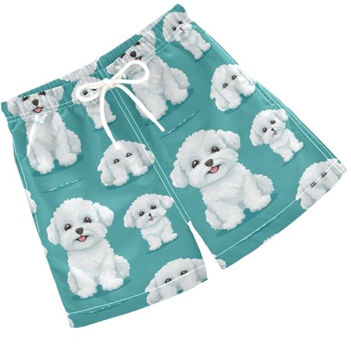 Pigsaly Boys' Swim Board Shorts White Bichon Frize Dog Boy's Swim Trunks Kids Swimwear XS
