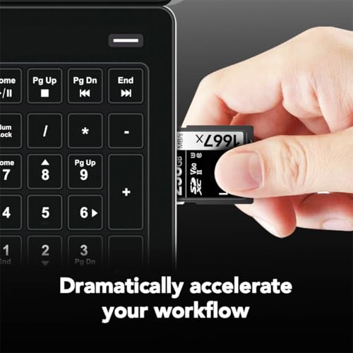 Lexar Professional 1667x V60 256GB