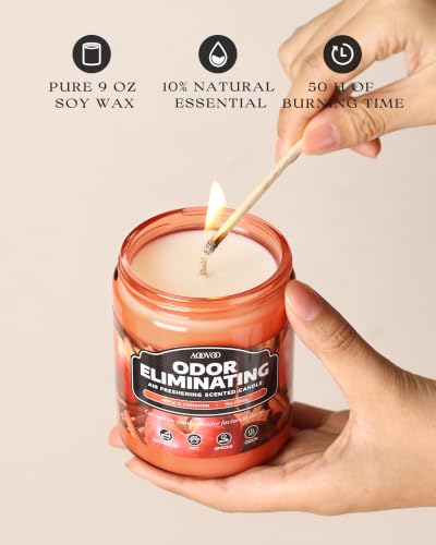 Image of AOOVOO Apple Cinnamon Odor Eliminating Highly Fragranced Candle - Eliminates 95% of Pet, Smoke, Food, and Other Smells Quickly, Non Toxic Air Freshing Soy Candle, 9 oz Up to 50 Hours Burn time