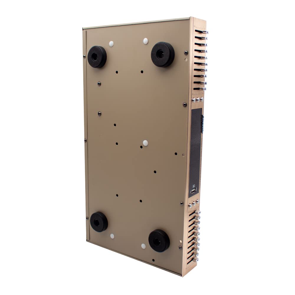 Toplionace EQ665 Stereo Equalizer, 220V HiFi Home EQ Equalizer Dual-10 Band-Stereo Höhen Alt Bass Regelung mit Integriertem Bluetooth (EQ665, Golden)