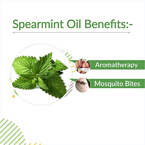 Image of Crysalis Spearmint (Mentha Spicata) Oil |100% Pure & Natural Undiluted Essential Oil Organic Standard Spearmint Antioxidant Oil Reduces Fine Lines & Skin Imperfections ,Reduce Breakouts -100ml Dropper