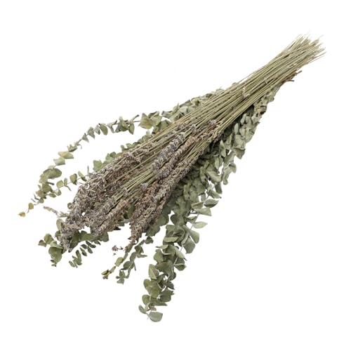 Set 1 ramo de eucalipto seco y lavanda preservados