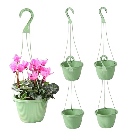 Plantes d'intérieur et d'extérieur : lot de 5 paniers suspendus robustes