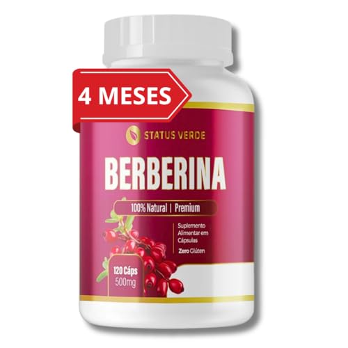41CR-wx4BRL 10 Alimentos Inflamatórios Que Aumentam a Gordura Abdominal e 10 Suplementos Que Ajudam a Resolver a Inflamação
