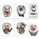 Eowppue Vielseitige WC-Aufkleber: Set von 4 liebenswerten Katzen-Motiven für Toilette und Mülltonne, perfekt für öffentliche Toiletten und Waschräume.