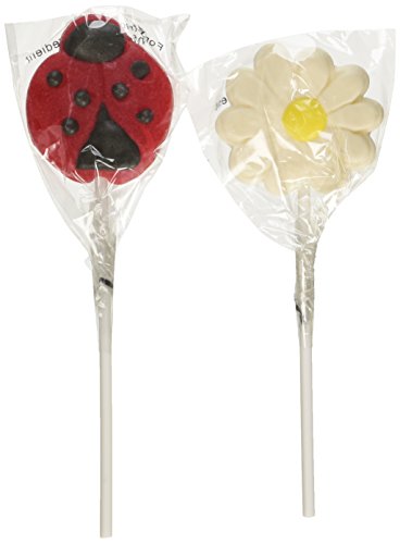 Fun Express Ladybug and Daisy Flower Character Suckers Lollipops - 12 Pieces