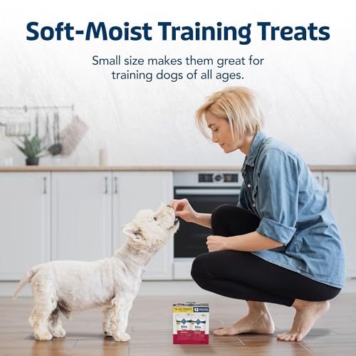 Image of Blue Buffalo Bits Natural Soft Moist to Go Dog Training Treats Beef Recipe 1-oz Bags (Pack of 12)