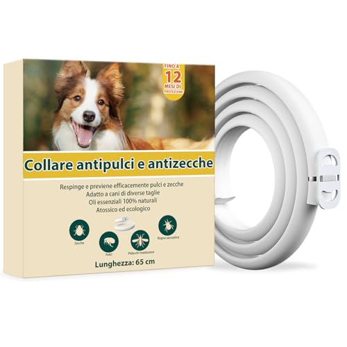 Asticers Collare Antiparassitario per Cani, Antiparassitario Collare Antipulci cane per Tutti i Tipi di Cani, Regolabile Impermeabile, 12 Mesi di Efficacia Protezione, 65cm Taglia Unica (1pack) (65cm)