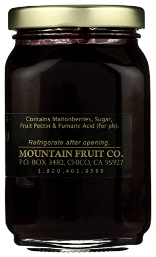 Mountain Fruit Company Oh Berries Pacific Blackberry Jam, 9.5 Oz #TOP5