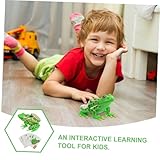 Zoom IMG-2 amosfun modello dissezione della rana Zoom IMG-2 amosfun modello dissezione della rana