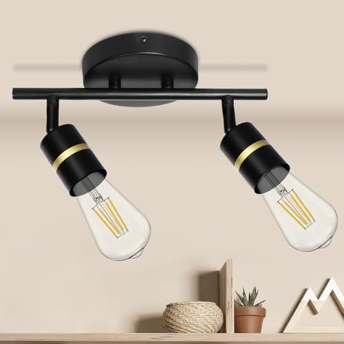 HiBay 2-Light Rotatable LED Track Lighting, Black