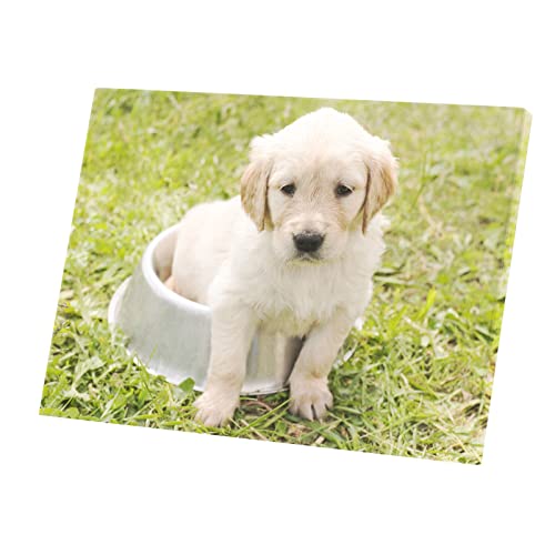Toile imprimée labrador blanc mignon dans l'herbe pour chambre enfant