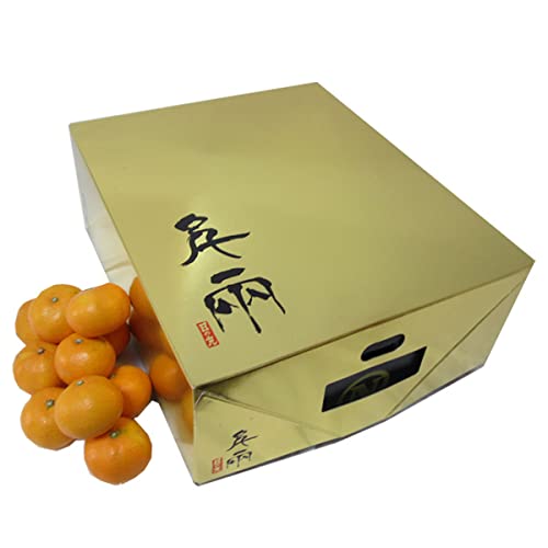 }VFQ Q݂ (̊ۂ݂ GS[h痼 5L Gi)