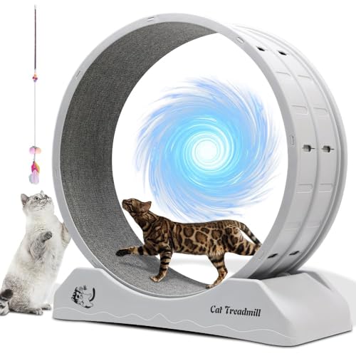 WUDLEP Rueda de ejercicio para gatos para gatos de interior, rueda de correr para gatos con pista alfombrada, rueda de cinta de correr para gatos para una vida útil más larga del gatito, rueda de
