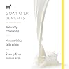 Beekman-1802-Whipped-Body-Cream-Pure-Goat-Milk-Fragrance-Free-Goat-Milk-Body-Butter-Daily-Hydration-for-Dry-Skin-Naturally-Exfoliating-Cream-for-Sensitive-Skin-Goat-Milk-Bodycare-8-oz Beekman 1802 Whipped Body Cream, Pure - Fragrance Free - 8 oz - Intensely Hydrating & Softens Skin - With Goat Milk - Good for Sensitive Skin - Cruelty Free
