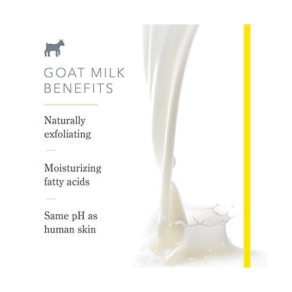 Beekman-1802-Whipped-Body-Cream-Pure-Goat-Milk-Fragrance-Free-Goat-Milk-Body-Butter-Daily-Hydration-for-Dry-Skin-Naturally-Exfoliating-Cream-for-Sensitive-Skin-Goat-Milk-Bodycare-8-oz Beekman 1802 Whipped Body Cream, Pure - Fragrance Free - 8 oz - Intensely Hydrating & Softens Skin - With Goat Milk - Good for Sensitive Skin - Cruelty Free