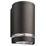 Lithonia Lighting OLLWD P1 40K MVOLT DDB M6 LED Outdoor Cylinder Downlight 4000K, 9W, Dark Bronze