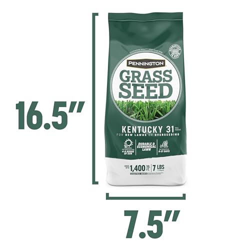 Pennington 100516051 Kentucky 31 Tall Fescue Penkoted Grass Seed 7 Lb thumb #12