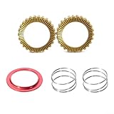 Honseadek Für Fahrradnabe 60T Star Ratsche Upgrade Kit mit 2 Stahlratschen für Freilaufreparatur und Ersatz