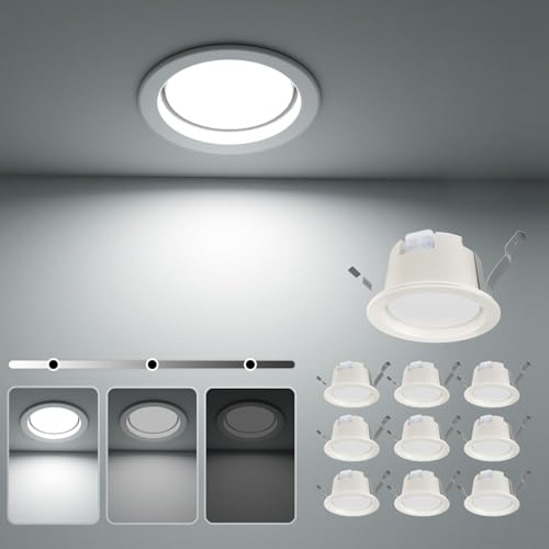 ICHIYO led_ECg 100 SB` V䖄^ hdl  oX[ F 3iK led_ECg5W 500LM ^6H M40` Ɩ Lb`A䏊AցAArOAXAo[AJIP Kp(3i