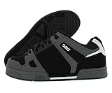 DVS