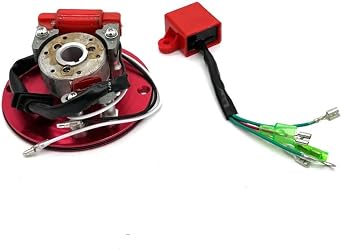Motorcycle Ignition stator Coil Motorcycle Magneto Coil Inner Rotor Stator Kit for LF YX 50/110/125/150/160CC Scooter Go Kart ATV Quad Moto Horizontal Engine