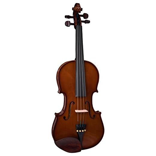 Stentor 1400 3/4 Violin