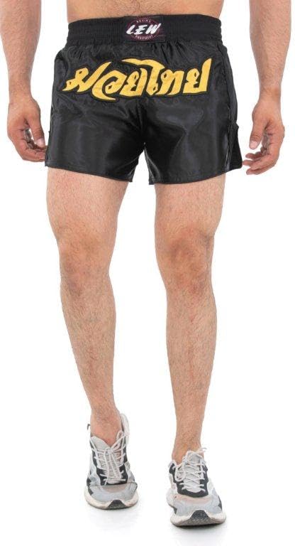 LEW Men's Muay Thai Boxing Shorts-picture-22